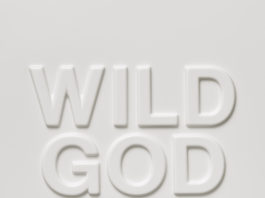 Nick Cave & The Bad Seeds - Wild God - Album cover